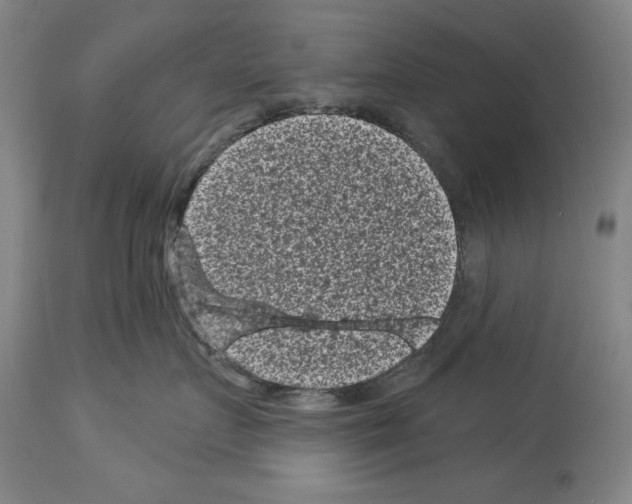 X0000113940719200911061241