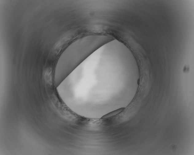 X0000113940720200911061241