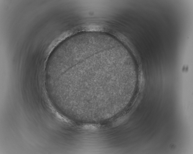 X0000113940721200911061241