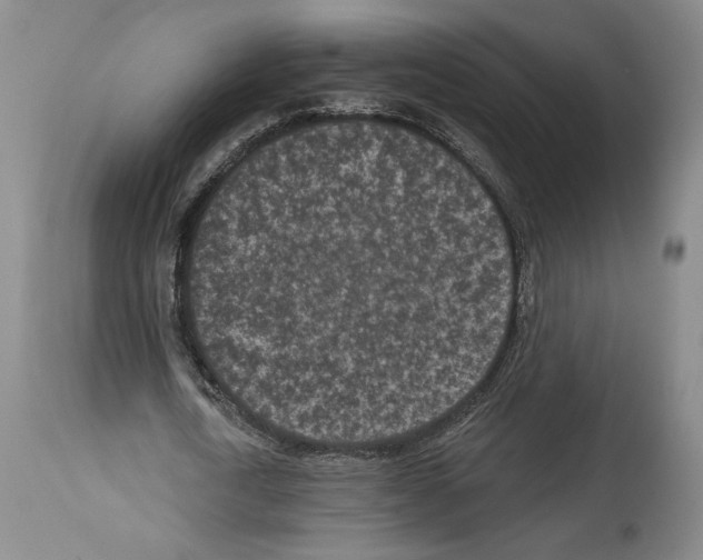 X0000113940722200911061241
