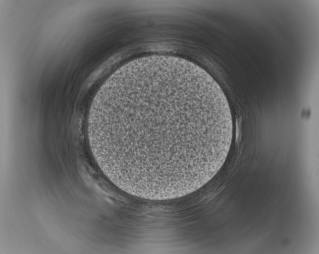 X0000113940723200911061241