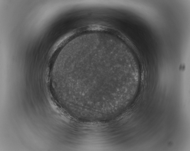 X0000113940724200911061241