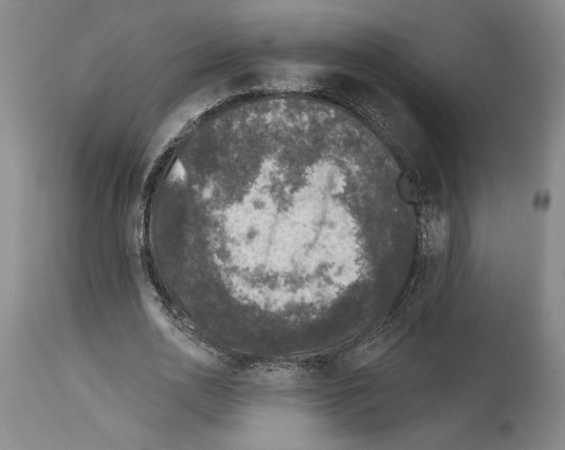 X0000113940726200911061241
