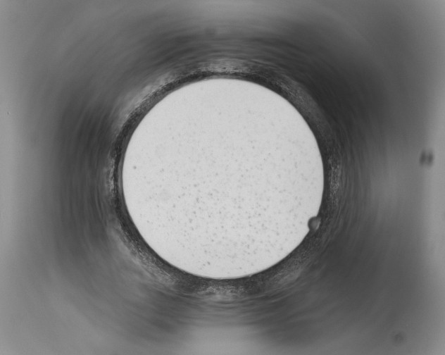 X0000113940727200911061241