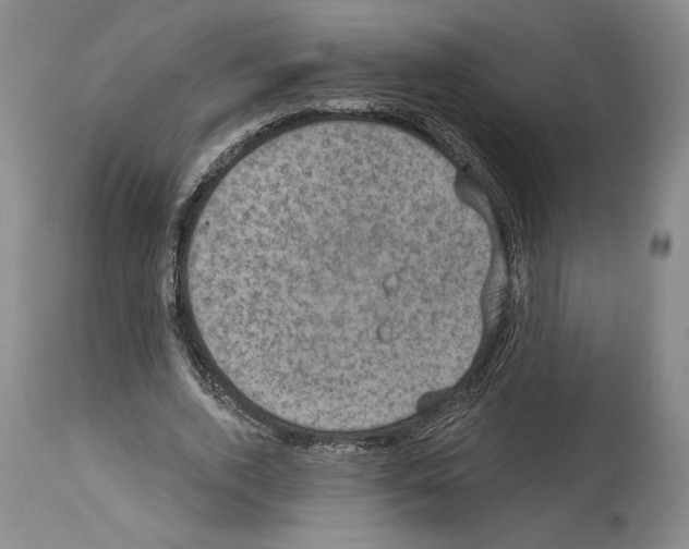 X0000113940728200911061241