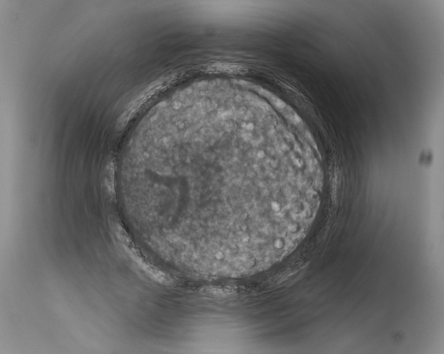 X0000113940729200911061241