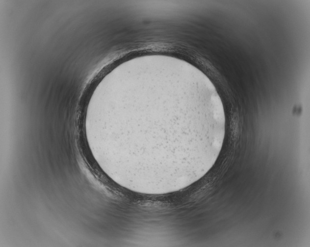 X0000113940730200911061241