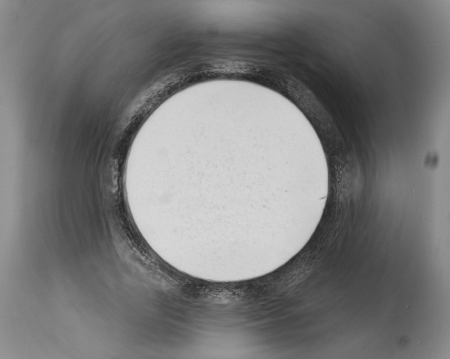 X0000113940731200911061241