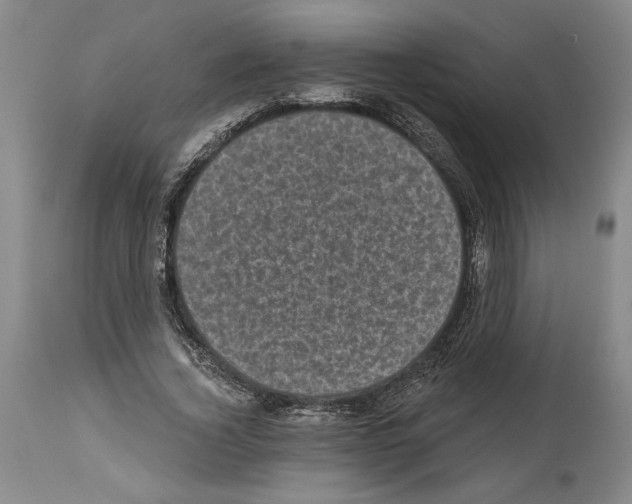 X0000113940732200911061241