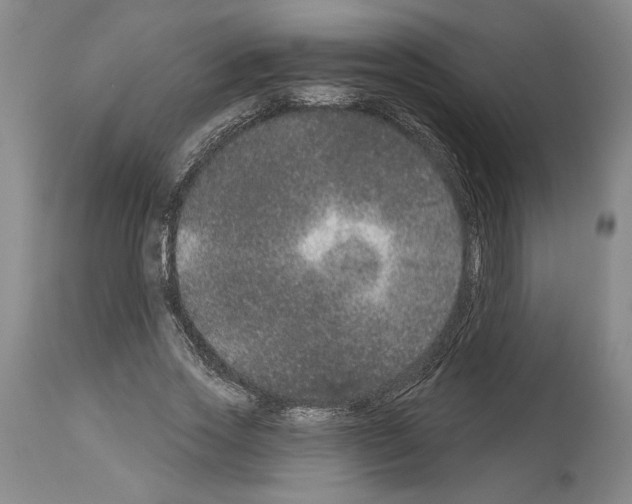 X0000113940733200911061241