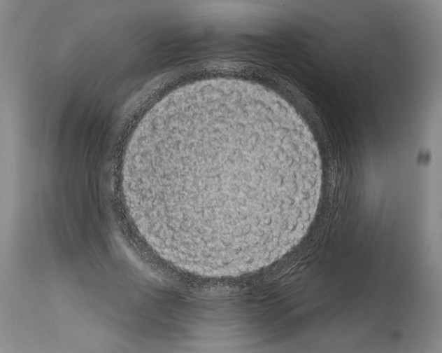 X0000113940734200911061241