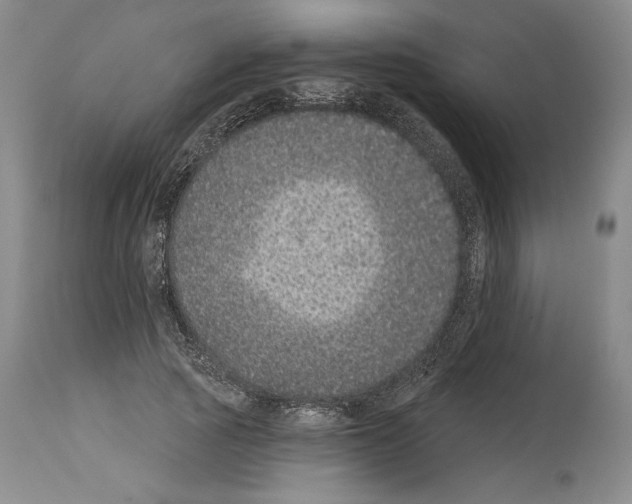 X0000113940737200911061241