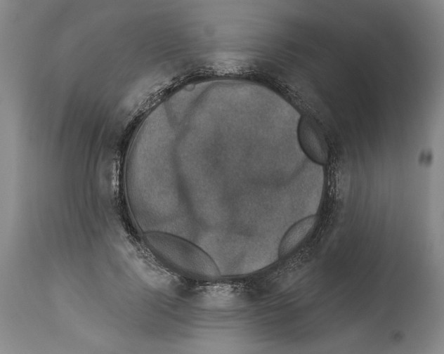 X0000113940740200911061241
