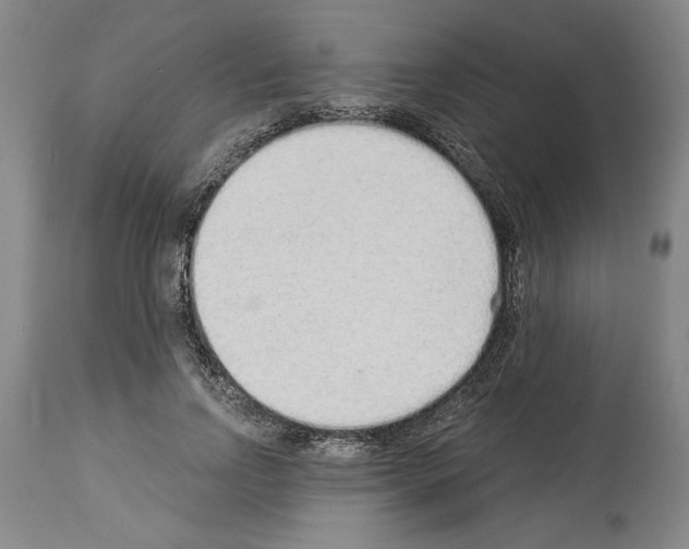 X0000113940742200911061241