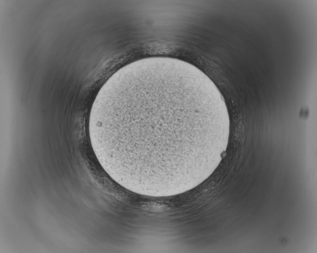 X0000113940743200911061241