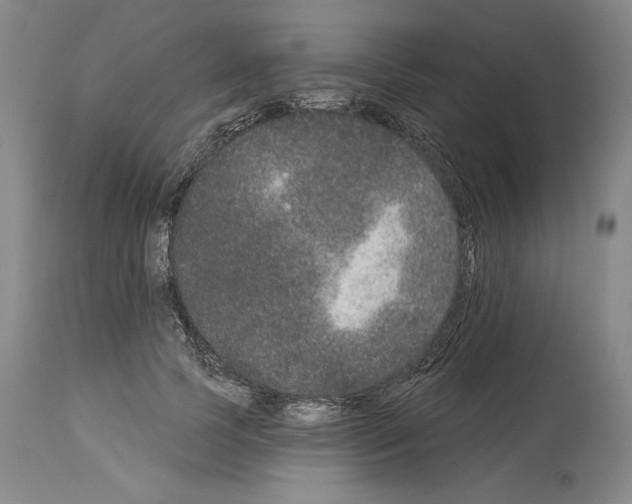 X0000113940745200911061241