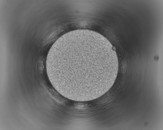 X0000113940746200911061241