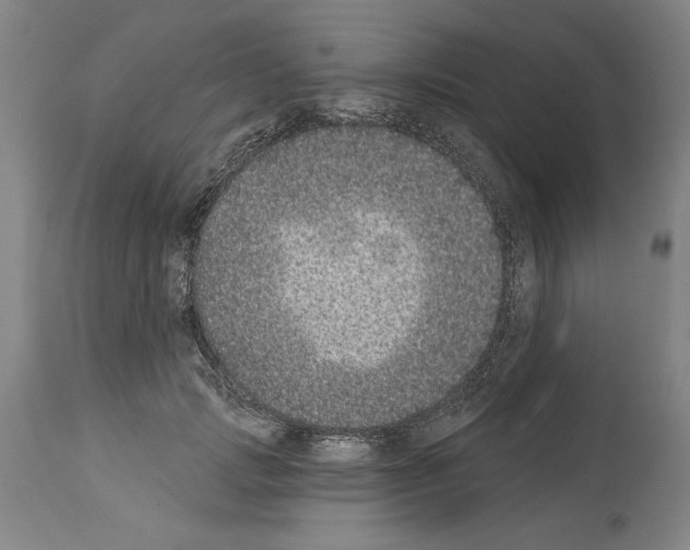 X0000113940749200911061241