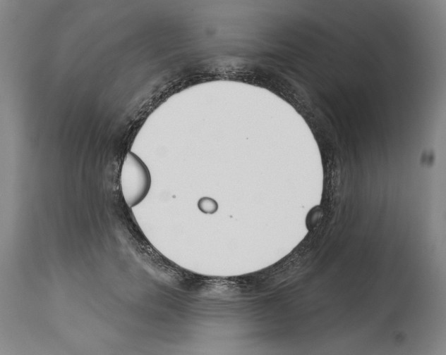 X0000113940750200911061241
