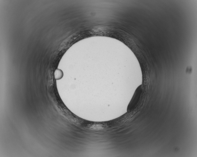 X0000113940751200911061241