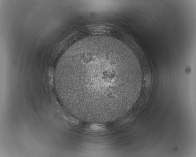 X0000113940753200911061241