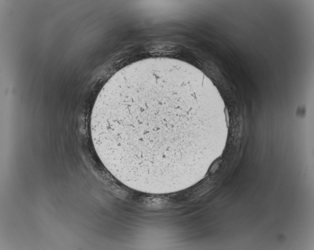 X0000113940755200911061241