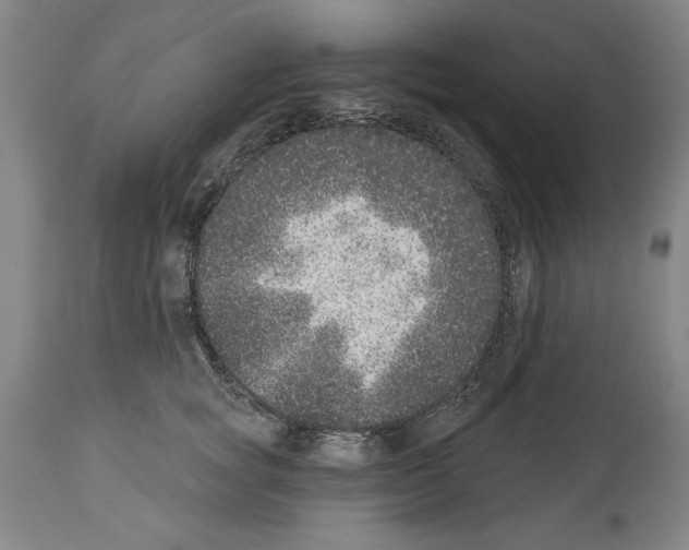 X0000113940757200911061241