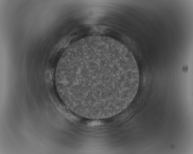 X0000113940759200911061241
