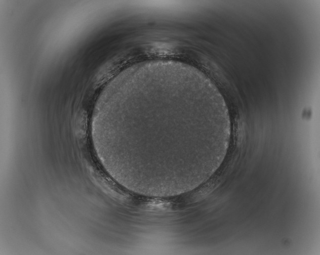 X0000113940760200911061241
