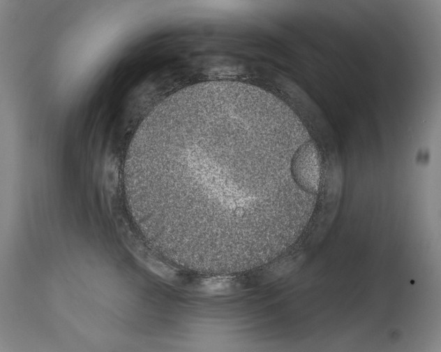 X0000113940761200911061241