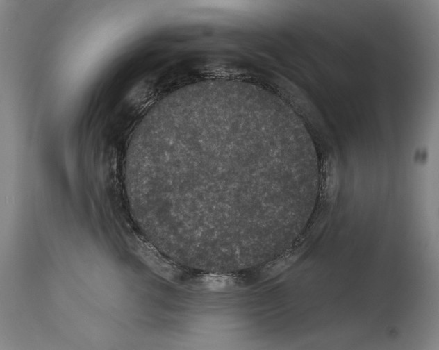 X0000113940762200911061241