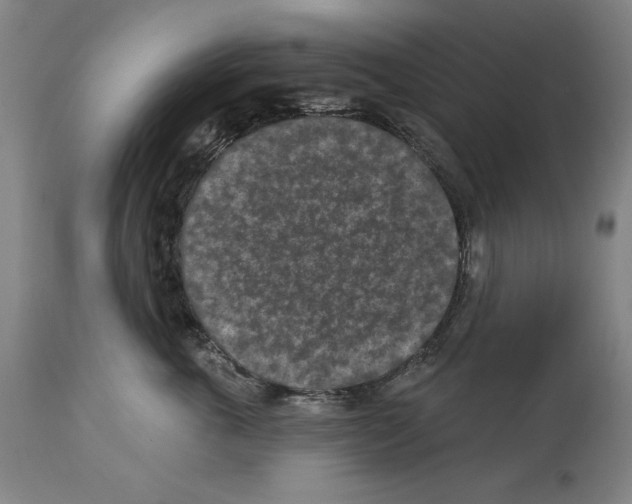 X0000113940763200911061241