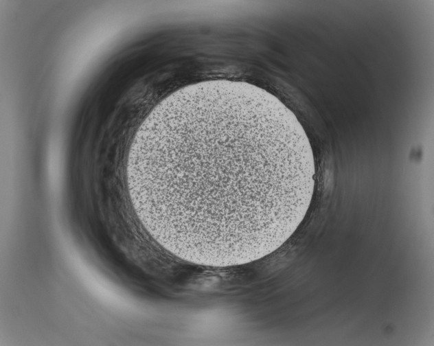 X0000113940764200911061241