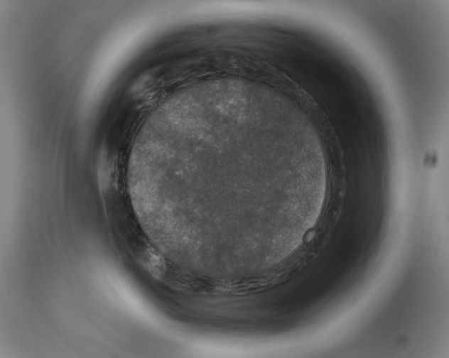 X0000113940766200911061241