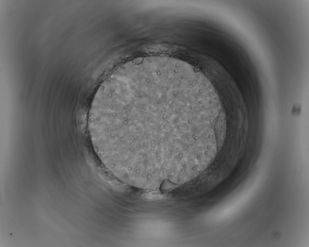 X0000113940767200911061241