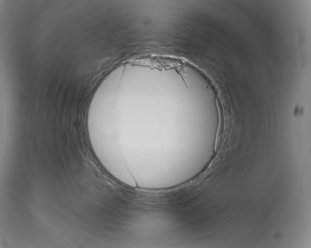 X0000113940768200911061241