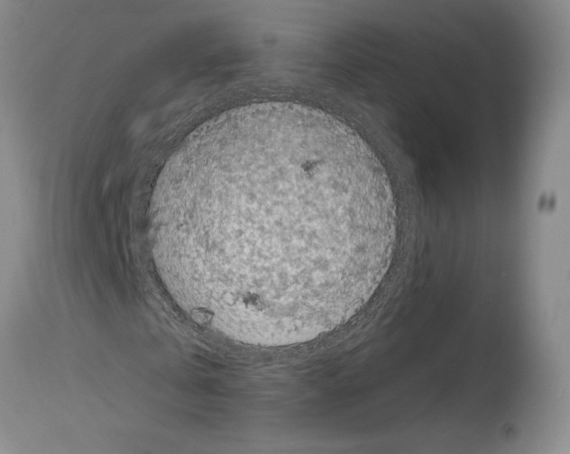 X0000113940769200911061241