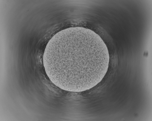X0000113940770200911061241