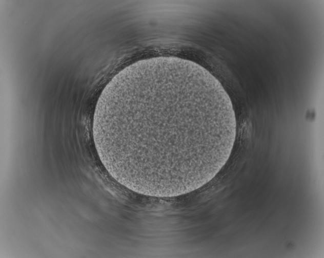 X0000113940772200911061241