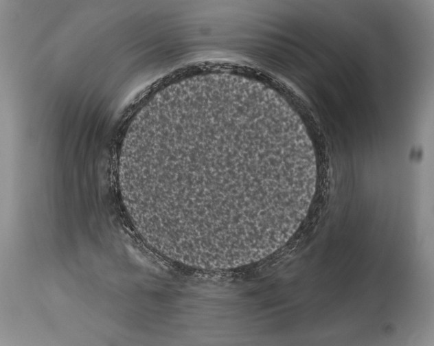 X0000113940775200911061241