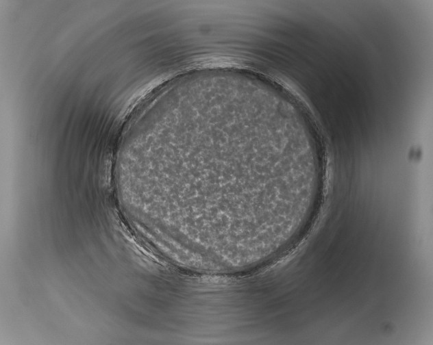 X0000113940777200911061241