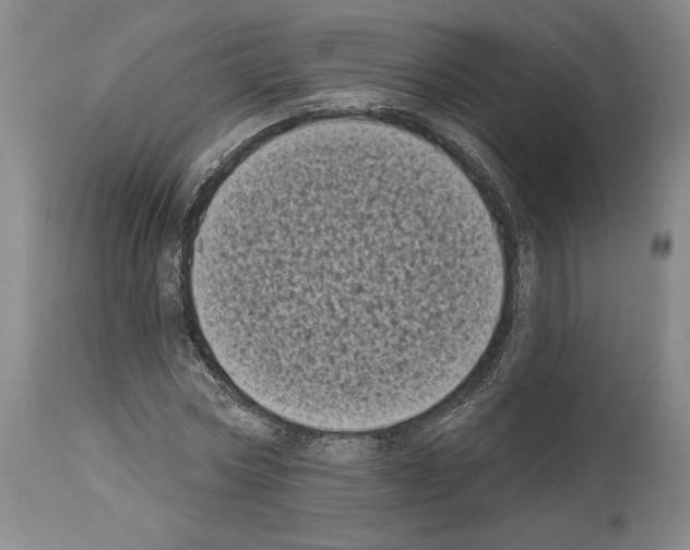 X0000113940778200911061241