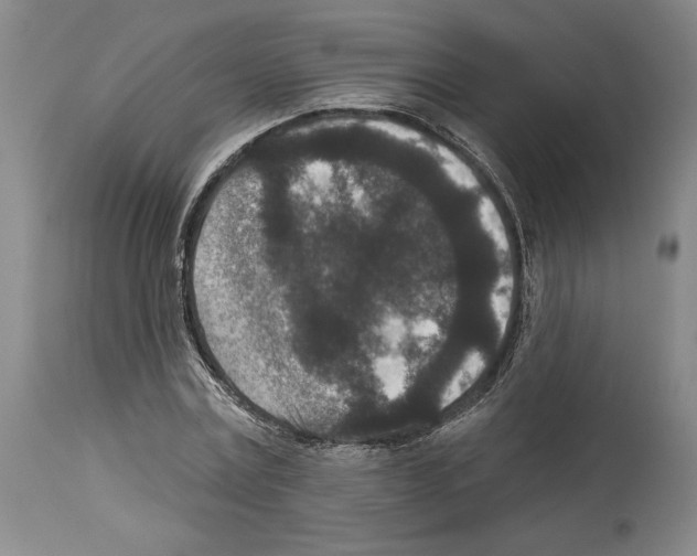 X0000113940779200911061241