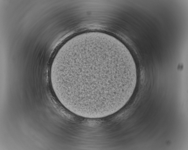 X0000113940782200911061240