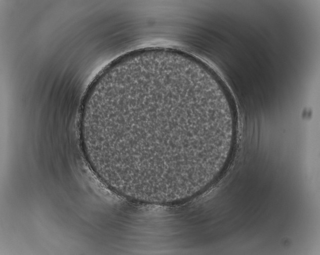 X0000113940783200911061240