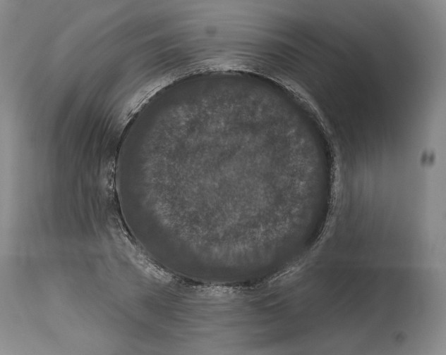 X0000113940785200911061240