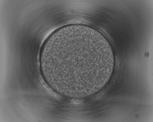 X0000113940788200911061240