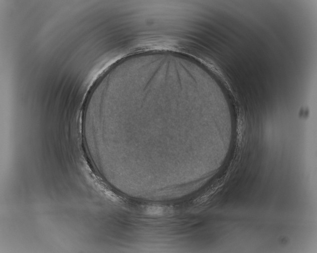 X0000113940790200911061240