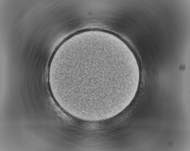 X0000113940791200911061240