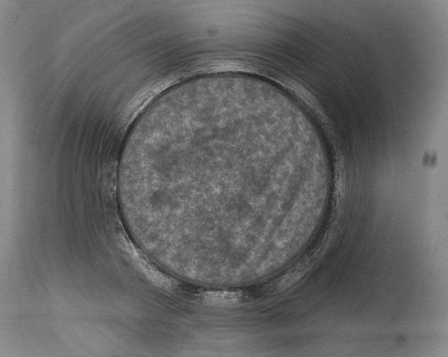 X0000113940793200911061240